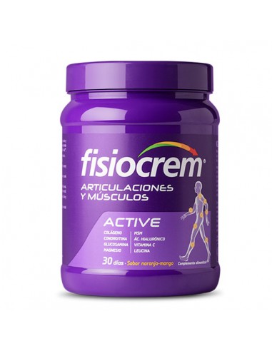 FISIOCREM MUSCULOS Y ARTICULACIONES 1 ENVASE 540 G